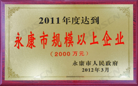 Empresa da cidade de Yongkang 2011 com faturamento anual superior a 20 milhões de RMB